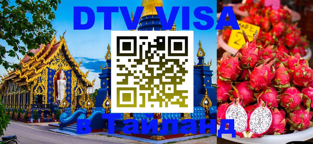 Оформление DTV визы под ключ: стоимость и тарифы, только загранпаспорт - 06.12.2025 